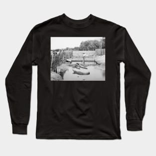 Florida Alligator Show, 1904. Vintage Photo Long Sleeve T-Shirt